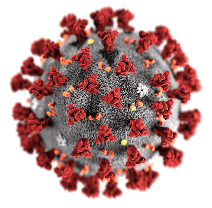 ویروس-کرونا-۲
